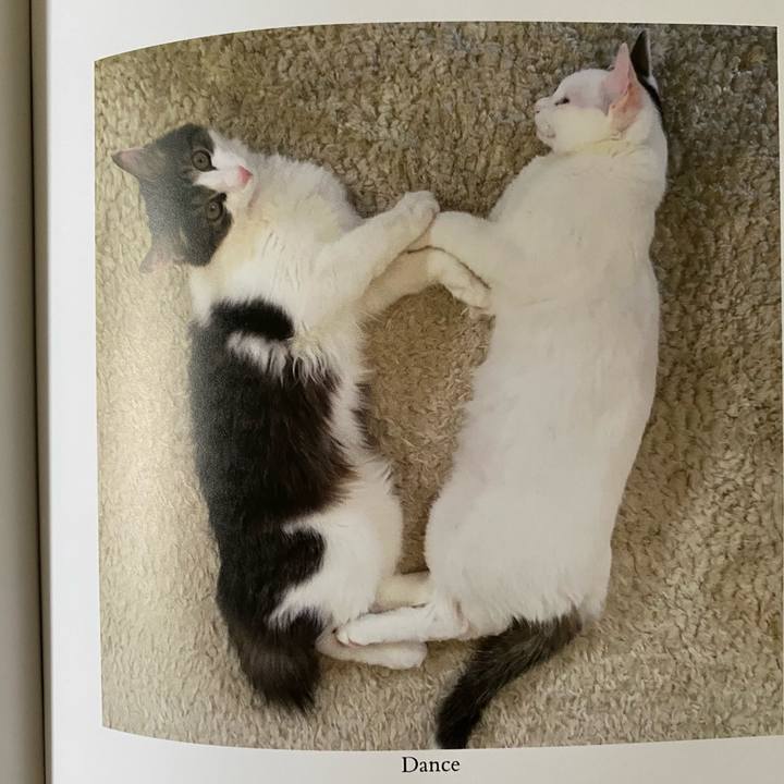 4311d76e fac7 4ef0 a18f c322890c84ce 1665090748590