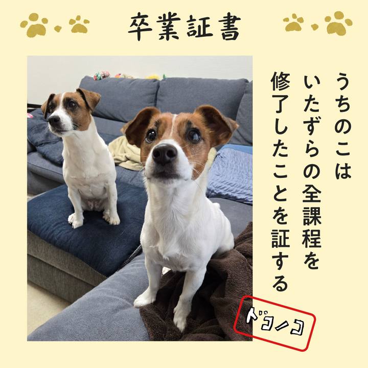 4311e408 1504 41ec 9738 1e2a2839cd49 1771989811986