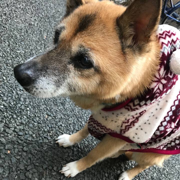 43120f91 fb9c 4ded 8b5d 37fe21a6e342 1543188696966