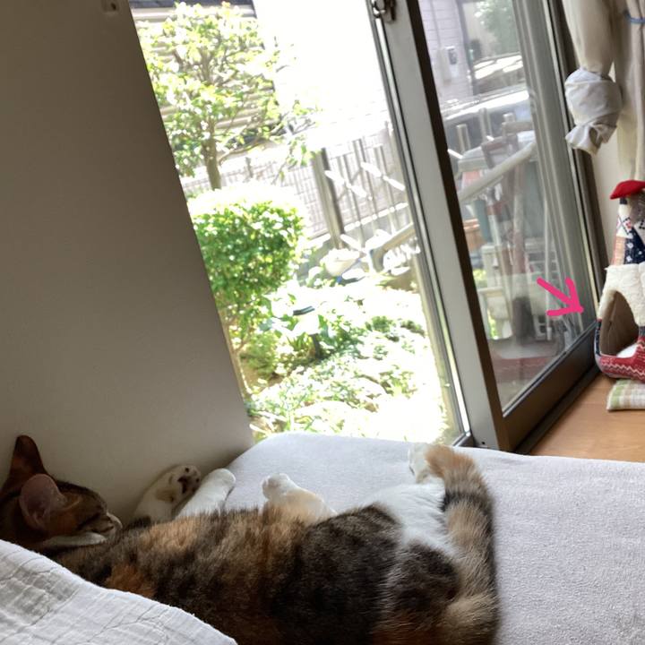 43121749 f879 4c58 ba8b ae38762df9cd 1658295393003