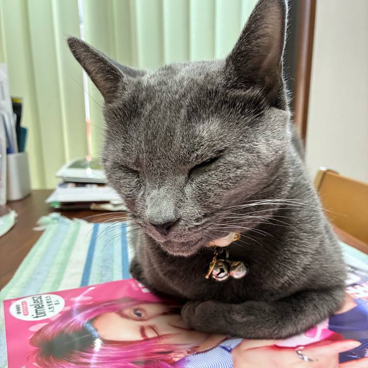 43123d13 3b13 4411 bfd7 380e75cc0333 1757136947795