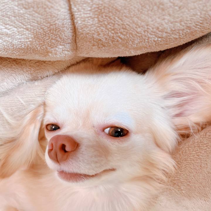 43124f7c de80 4e54 8b5d b7a42571f256 1662175755455