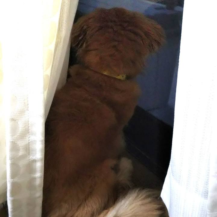 4312539c e0c5 4587 be4d 4faf0cb86bc5 1592475404400