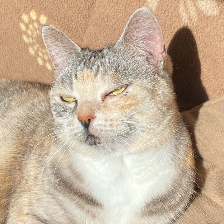 431290ad aa02 4368 8932 6949c90a662b 1644200321881