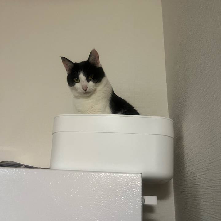 4312bcdc 525c 4dfd 8a0f 430a7b25949b 1653230911041