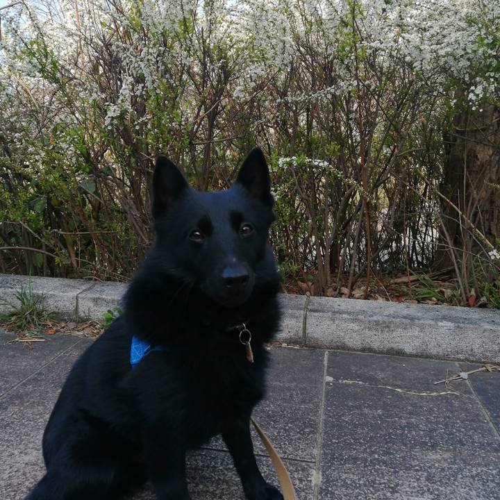 4312d743 6fe0 4454 b215 f08327090b1d 1615759445777