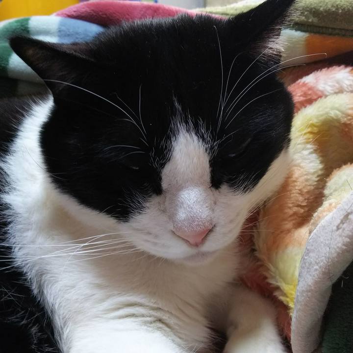 4312da28 c39b 4e20 88b3 7e21048f7078 1544324441877