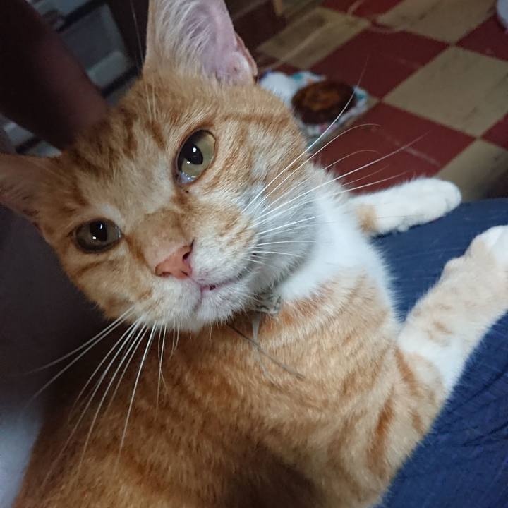 43132dd1 64be 4ad3 8ebe 08a2bd0783f8 1594378650163