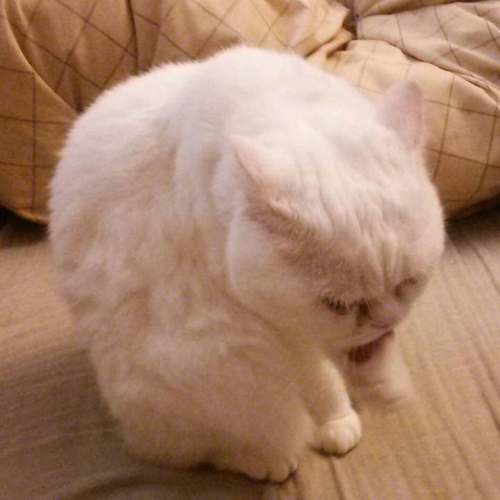 43134a40 12c0 4f8a 895f 97fb4de4a70c 1510444729812