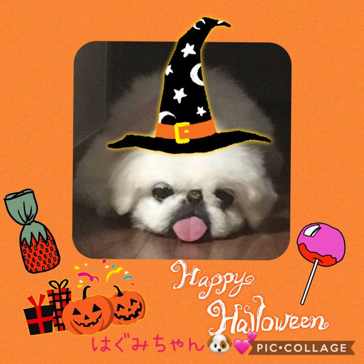 43137828 f7ec 4604 9c2d 3882fea1a54a 1571925709937