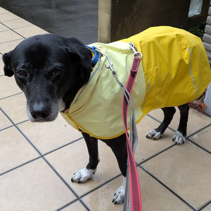 43139b99 8616 4d35 8c4e 00c46cd3d23a 1738454281876