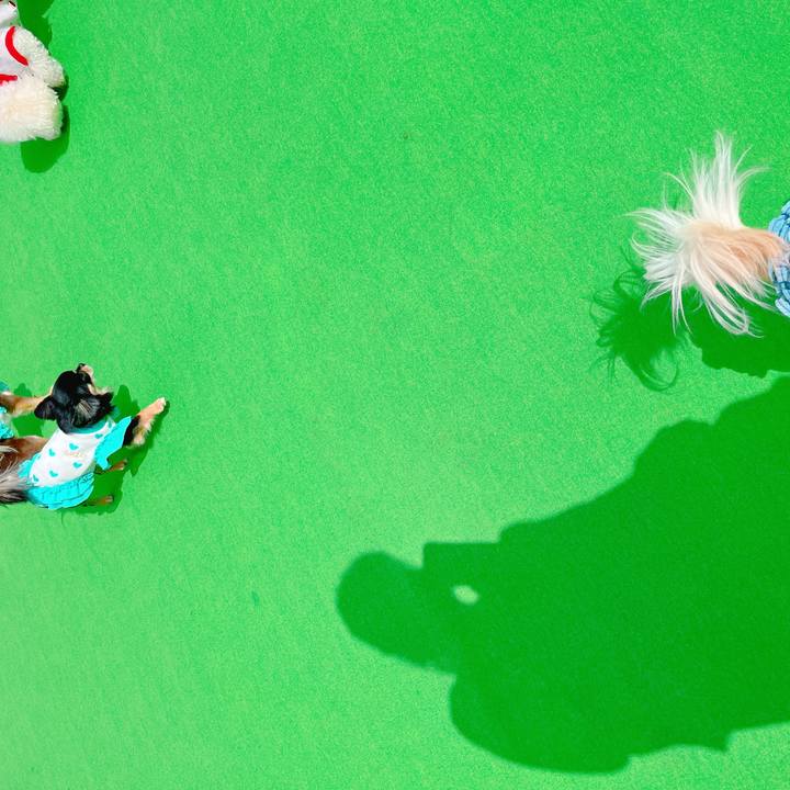 43141b7b 9537 4599 82b3 709b6c07e1b0 1647859200704