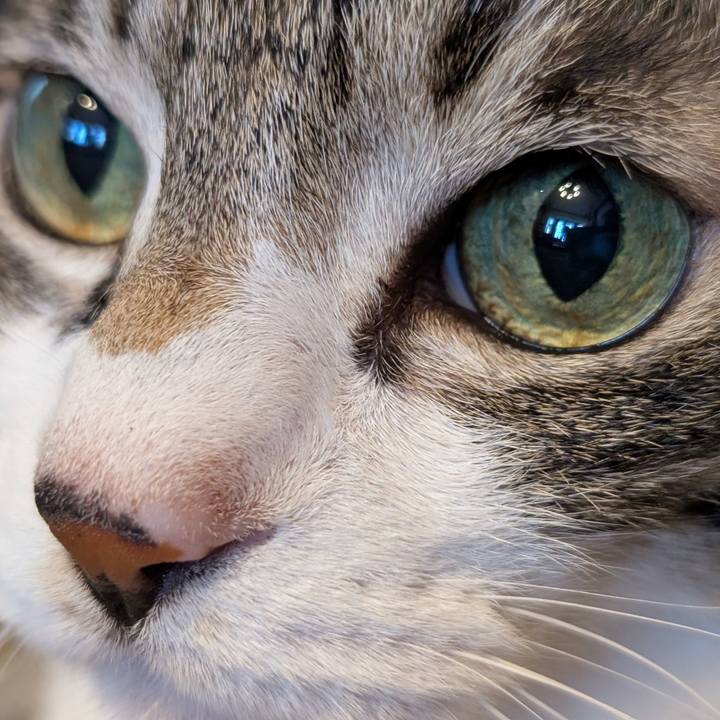 43143f12 5cdd 4a65 a354 8324ccb70b37 1774652890679