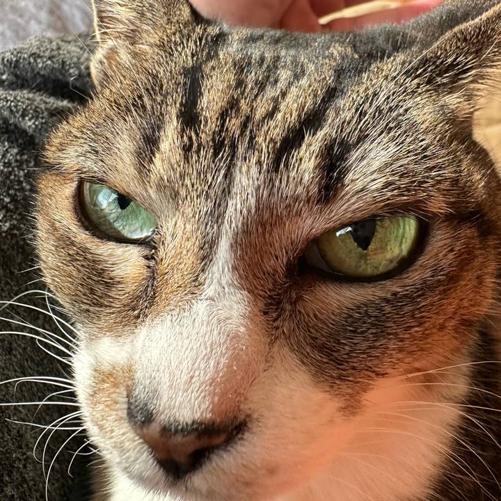 43146aff 6b13 40a0 a10e 81c1e04c3697 1675475895713