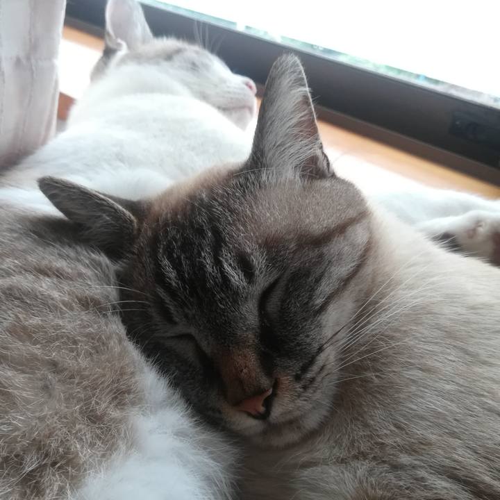 43146b74 70a6 48e2 a1bb 417be4293623 1599172348508