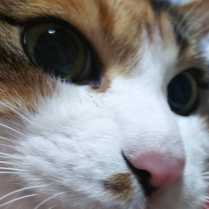 431493b1 729f 4ad7 82d2 230ff750fb07 1576889773451