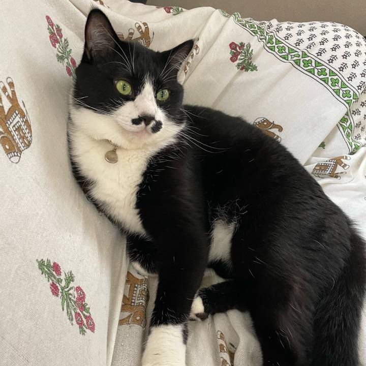 431496f3 1634 4a53 a636 7edfd5eb82d5 1721343264049