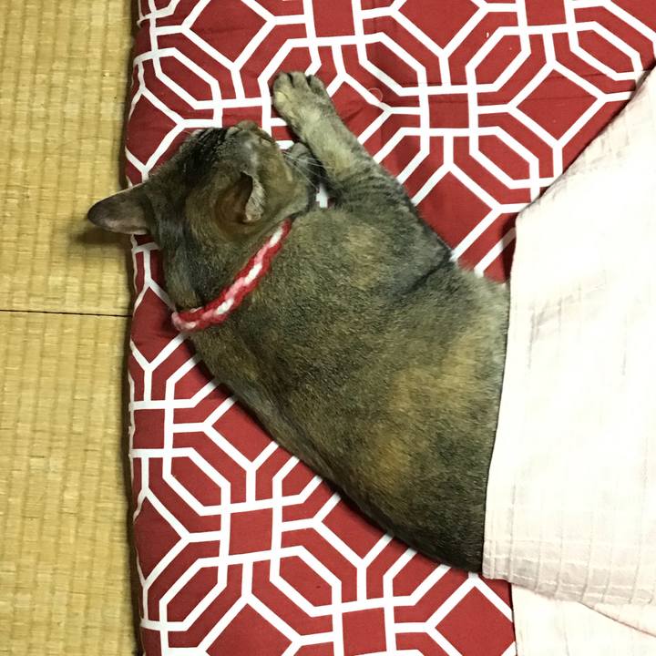 4314ecd0 46a3 4ae9 be7d bd0d0a2ca819 1615713192194