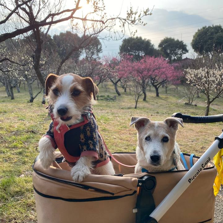 43150956 1ad3 4c51 aea4 f12a88d45a00 1707634565588