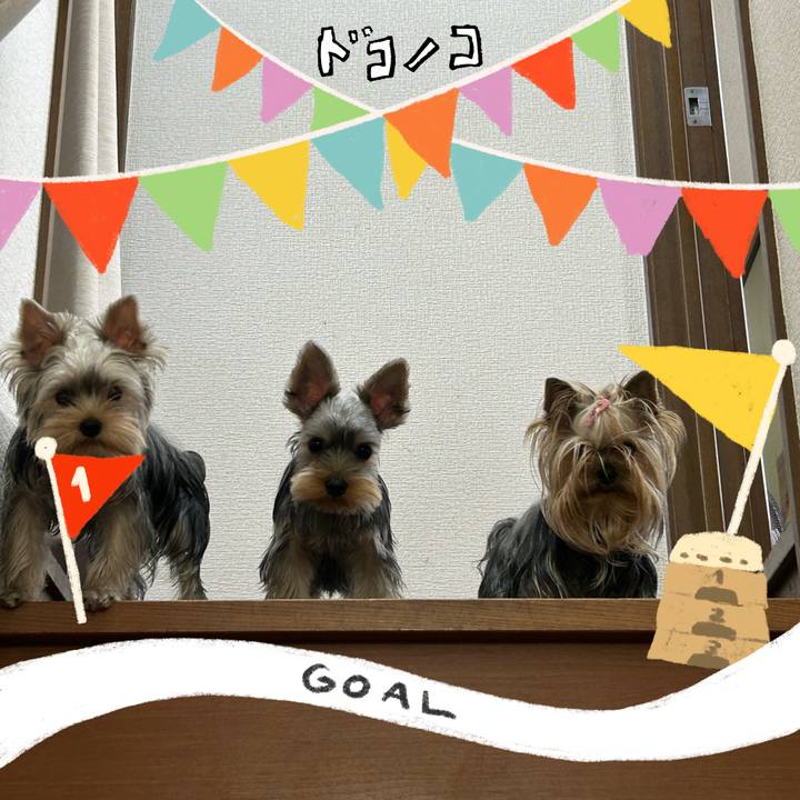 431518d2 0106 4d7c 8390 51fd8837f4e0 1729258211350