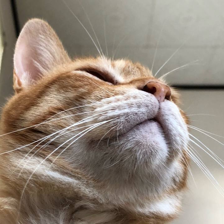 431524a5 12f4 4c34 89e5 4e0cc8b55dec 1562446252058