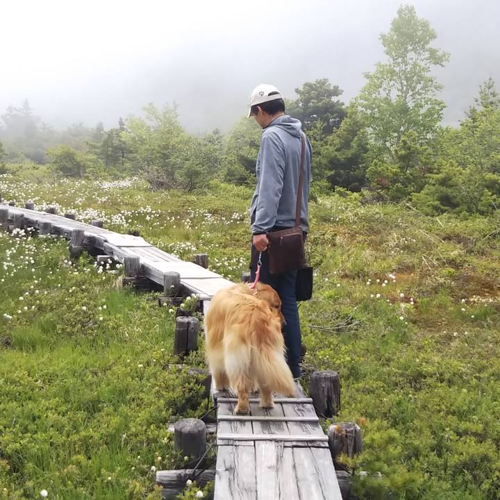 4315350b a903 41a8 851b f09cdb3bb757 1529236359858