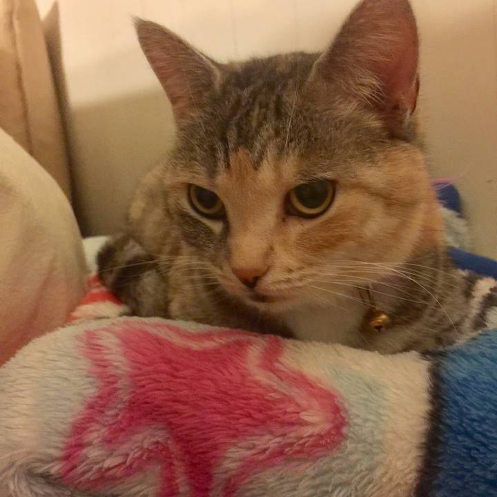 43153b73 3880 4def 9e4b 5dae65ced999 1559493246344