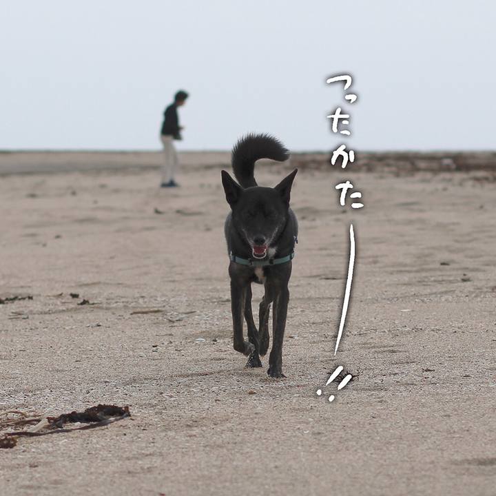 431544f3 5ede 4890 914c 9e4db7ad07f7 1573303097973