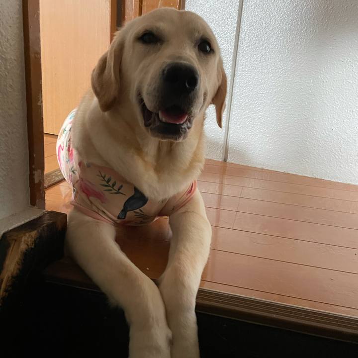 43157f1b 327d 4321 8a66 442147cde7c6 1625282674386