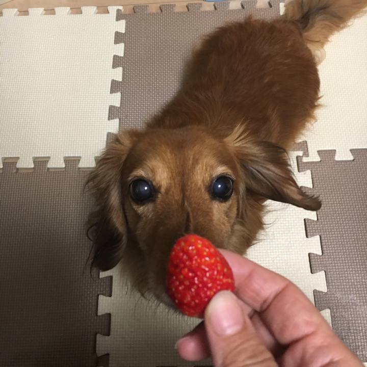 431582b1 93b4 46f4 b998 47c415e342bf 1520924057782