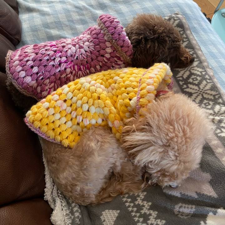 43159055 76b5 421b a571 2659d8dc7a85 1602434706858