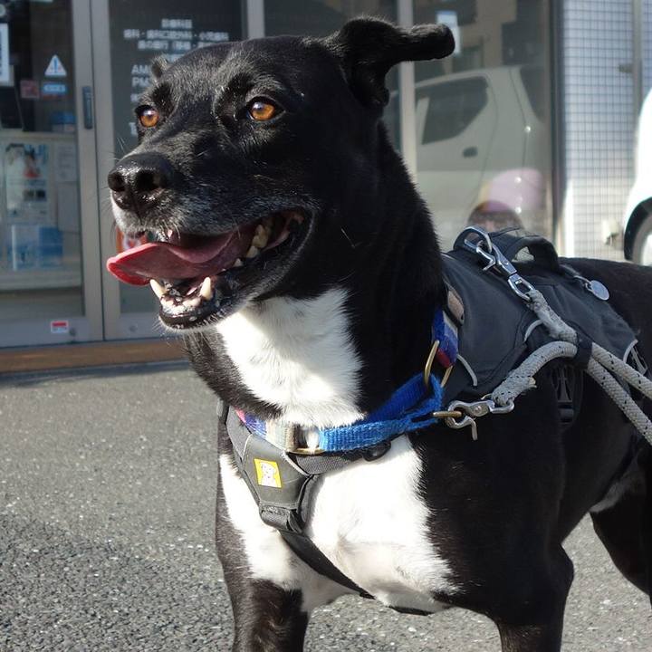 4315ab65 6536 44fb a099 f83649951cac 1656458900854