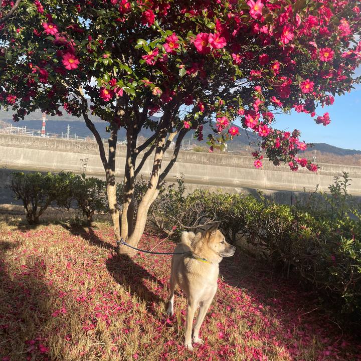 4315de5e 06cd 493c a198 36a8dff8bb63 1641557980288