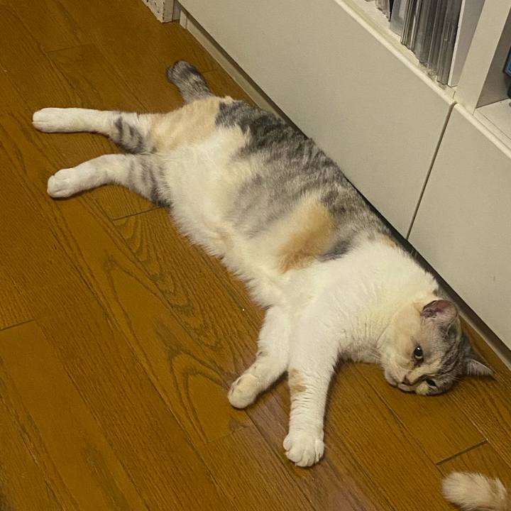 4315e8f7 f101 4310 8718 f41840b53988 1660658059176