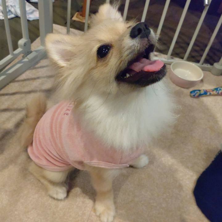 4315f8d3 3921 4dbc 8045 b5b5b6bafd3a 1728340767228