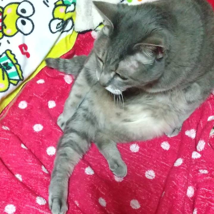 4315f927 6557 44d2 87a8 2d857f7e4c98 1613827428747