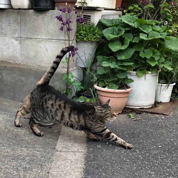 43162806 fcd8 4e11 a42e 7a0afaf985f6 1523739145575