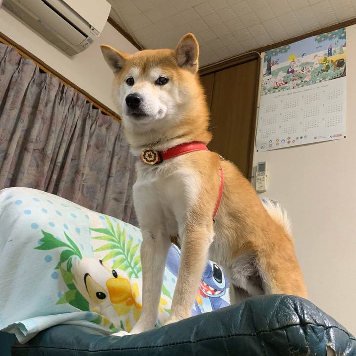 43163f56 bf62 4980 9e86 cf33d07e3902 1606733285387