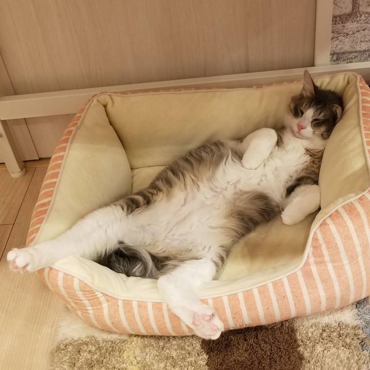 43164d60 0e22 4579 8c24 3d6177e2cb01 1514724512326