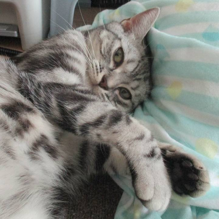 431674cc 9368 4169 ba82 aa32987f0f81 1561463069717