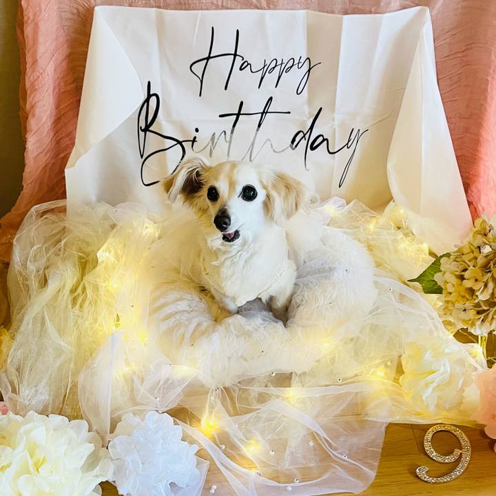 4316a31a d3f5 43eb a3cc 6d2c15cd6e12 1749277404356