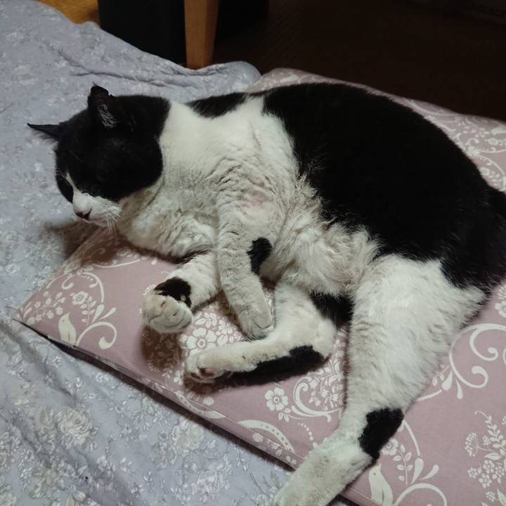 4317303d cdd8 4574 9bed 7ed16deecc7d 1606223509777