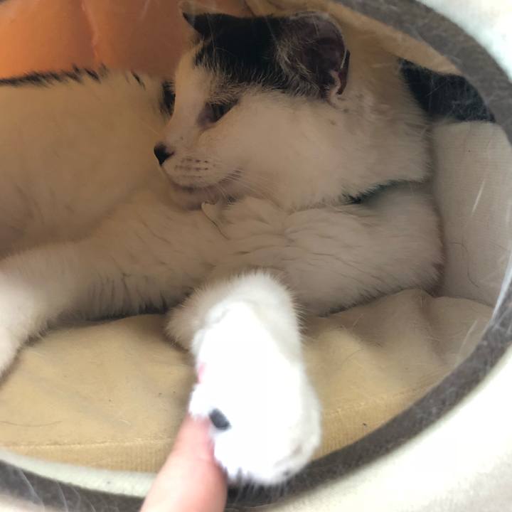 4317401d c1e4 4297 bf58 60ea4590ac45 1538537929371