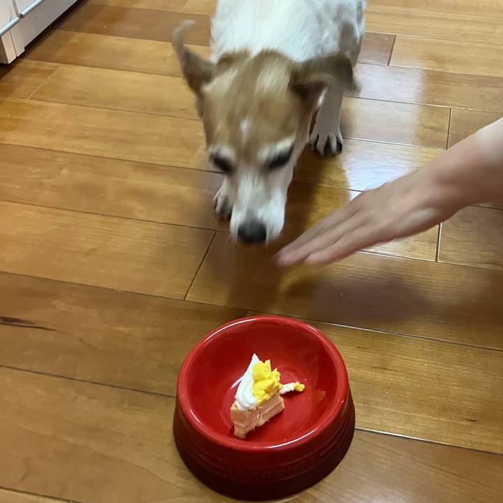 4317727b 1c2d 4b74 b6ca b047992061c4 1772782535346