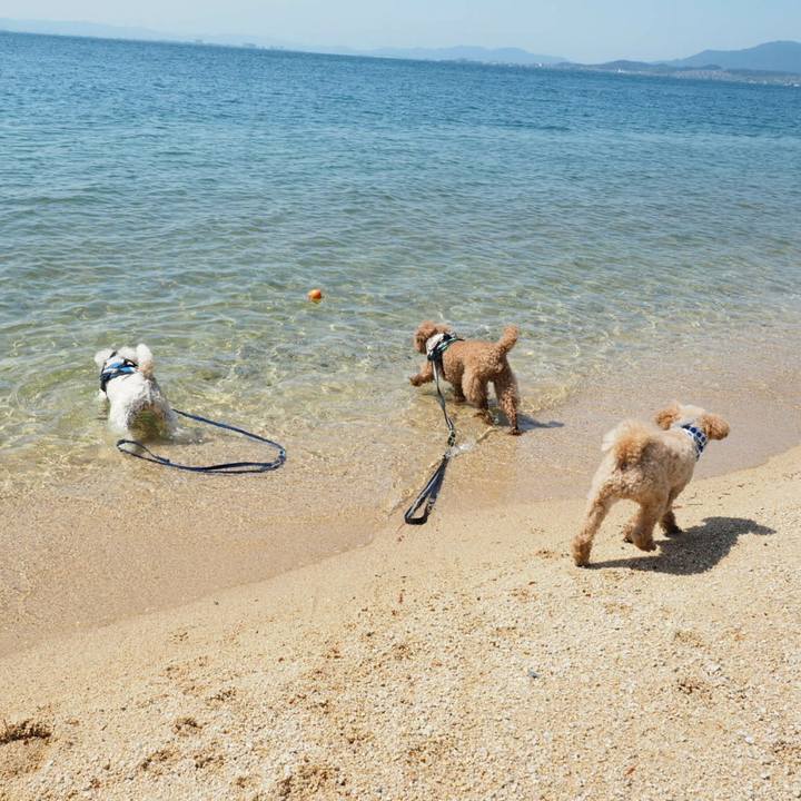 43177d87 dcce 472a b24c cab83eb737eb 1526906801862