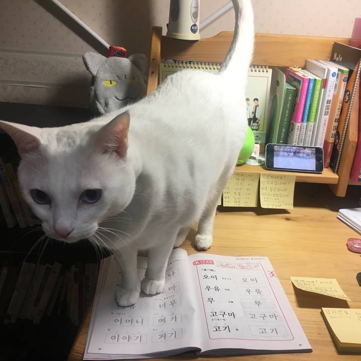 4317da1e 29db 4be3 90a5 2ec8fb01be8f 1553083981810