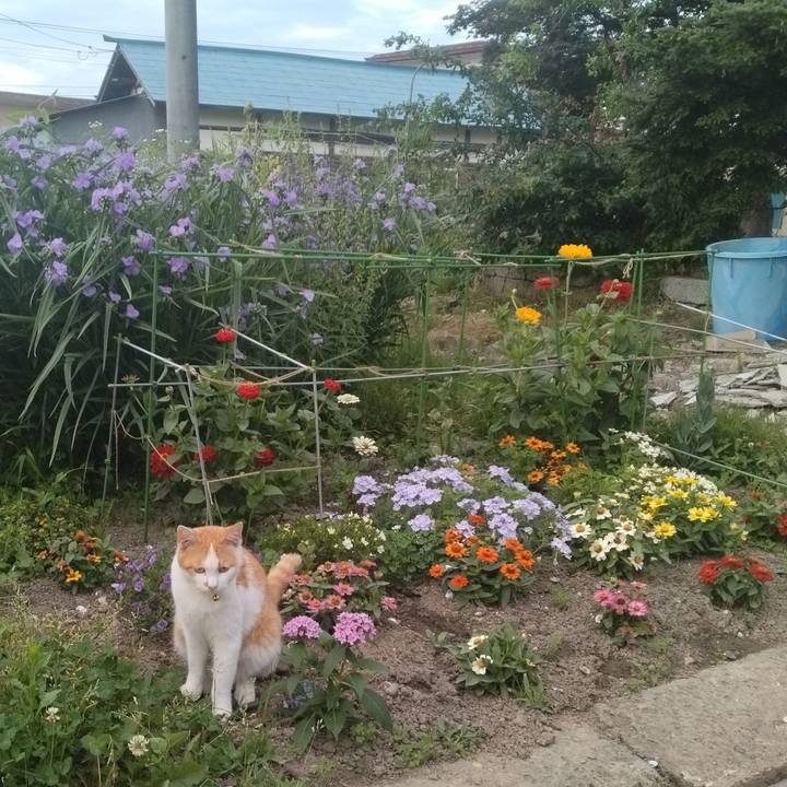 4317db36 a8f2 4f8a a3b9 a4d6a677c629 1750542419884