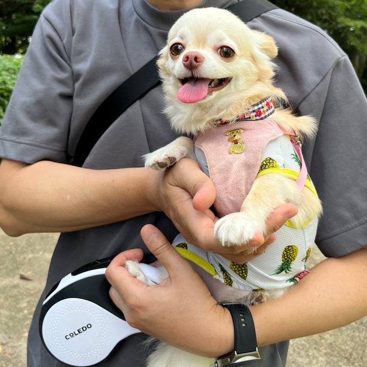 4317fdda 24e2 48cb 8b93 0254b8159cf1 1726404291787