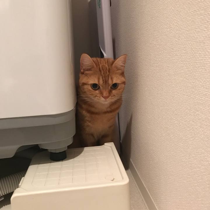 431846b1 bc79 4a49 99bc 404e610306b1 1509490496555