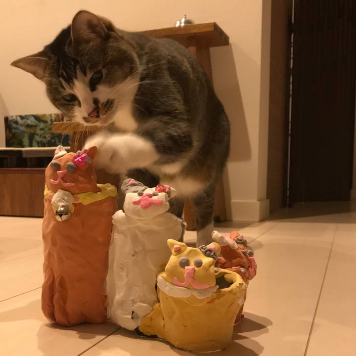 43187088 e12f 44f6 b769 5166fa2dd6f8 1522158555388